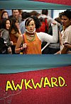 Awkward (La Chica Invisible) (1ª Temporada)